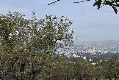Spațiu comercial, în Feleacu - 3