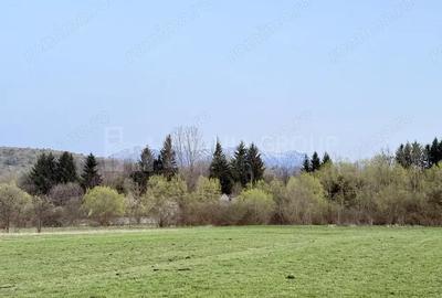 Teren de 7838 mp, în Zărnești - 2