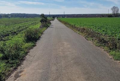 Costinesti loturi intravilane construibile 400-600mp direct de la proprietar - 4