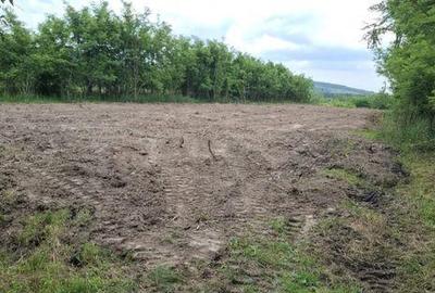 Teren de 3000 mp, în Cocorăștii Mislii - 2