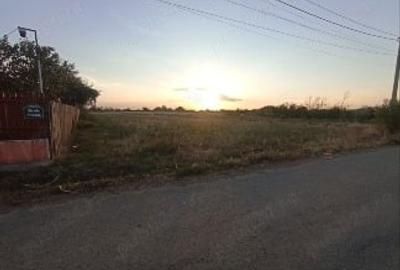 Teren Construcții intravilan de 2500 mp, în Ghimpați - 3