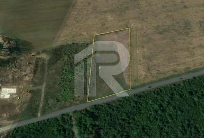 Teren Construcții intravilan de 5254 mp, în Balotești - 5