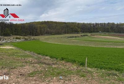 Teren de 833 mp, în Meteș - 2