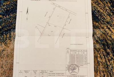 Teren de 4990 mp, în Valea Doftanei - 2