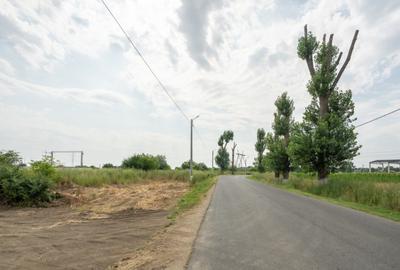 Teren Cernica,pentru Dezvoltare Reziden?iala sau Industria - 17