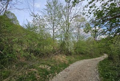 Teren intravilan 1454 mp la marginea padurii zona locuita de case! - 14