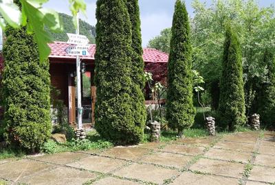 Casa Vacanta Lepsa Vrancea - 6