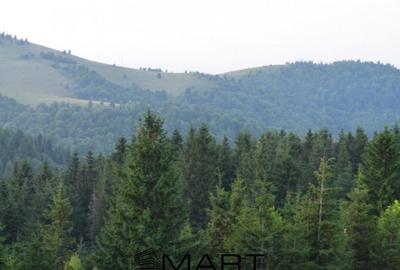 Casa individuala cu teren zona Paltinis - 9