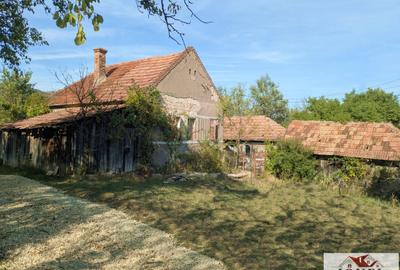 Casa de vanzare cu 47.880 mp teren in Vintu de Jos - Mereteu - 2