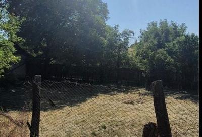 Casă cu 4 camere cu Teren 7000 Mp în Verbița - 2