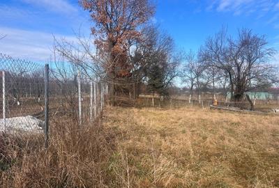 Teren Construcții intravilan de 1400 mp, în Sânpetru - 4