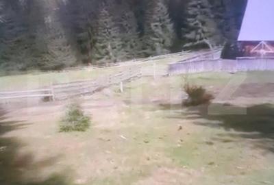 Teren de 15000 mp, în Panaci - 2