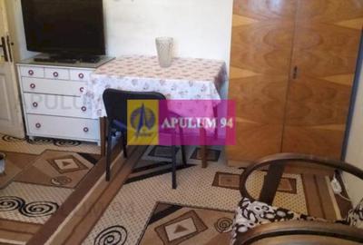 Apartament Elegant in Vila zona Gradina Botanica - 9