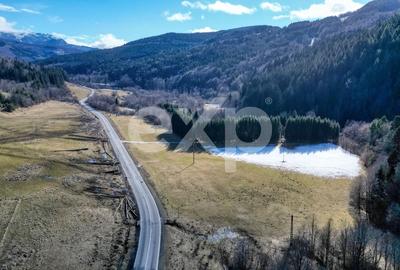 Teren Construcții de 19200 mp, în Brădet - 12