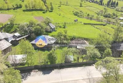 CASA traditionala BICAZU ARDELEAN + teren extravilan 1,6 hectare - 13