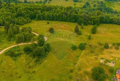 Teren Parcul National Bucegi/Str Glajarie Rau Mare/Panice... - 7