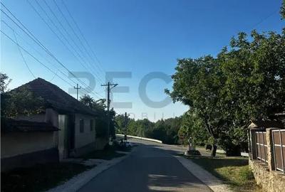 Casă cu 2 camere cu Teren 4000 Mp în Budureasa - 9