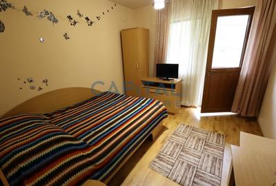 Casa de vacanta/pensiune in Dambovicioara, Arges - 31