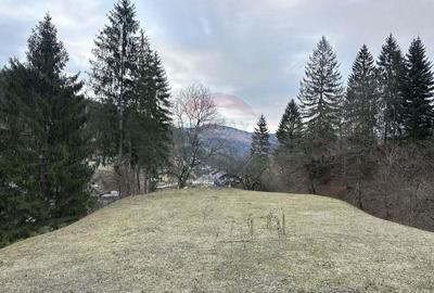 Teren 2,000mp Stejaru (Pangarati) / None - 3