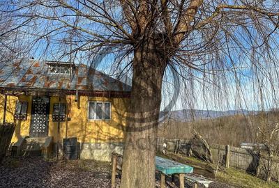 Casa de vanzare | Catunu, Drajna | 1360mp teren | Comision 0% - 4