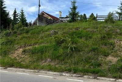 Teren intravilan Colibita cu utilitati 3000 mp - 6