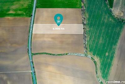 Teren extravilan intre Arad ?i Zimand - 1