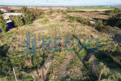 Teren Hemeiusi 5.000 mp de inchiriat - 10