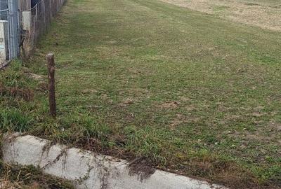 Spațiu comercial, în Ariniș - 1