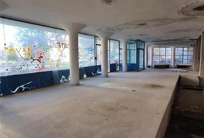 Spațiu comercial, de 500 mp, în Ultracentral - 8