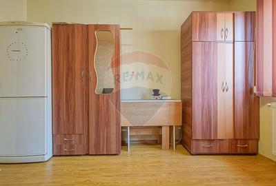 Apartament cu 1 camere nedecomandat, mobilat în Hărmanului - 3