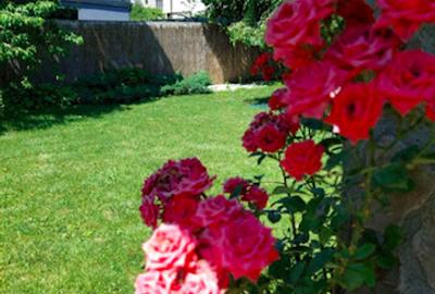 Corbeanca Corbeanca - 2