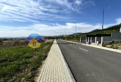 Teren investitie  Piatra Neamt 3884 mp - 1