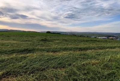 Spațiu comercial, în Central - 5