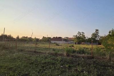 Teren de 1600 mp, în Sacoșu Turcesc - 10