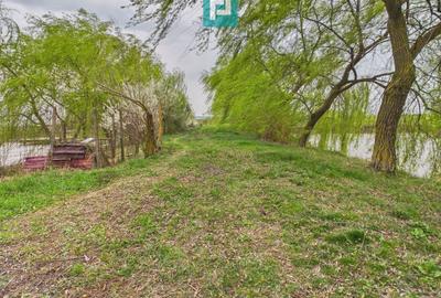 Teren agricol extravilan de 10000 mp, în Alioș - 11