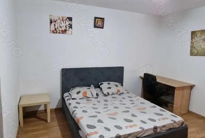 Garsoniera Park Lake proprietar, 8 minute metroul Dristor - 3