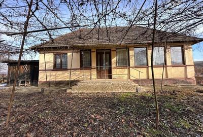 Casă cu 2 camere în Mica - 7