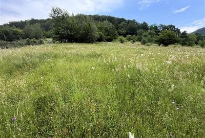 Teren intravilan de 1762 mp, în Someșu Rece - 2