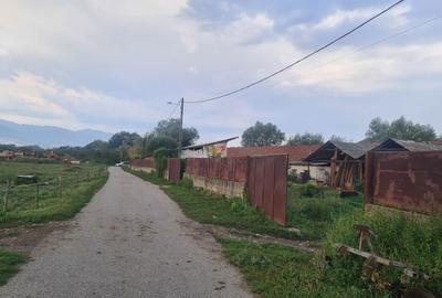 Casă cu 4 camere cu Teren 3000 Mp în Cârnești - 8
