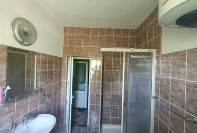 Casă cu Teren 4977 Mp în Ribița - 10