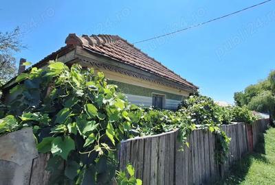 Casa si teren de vanzare - 3