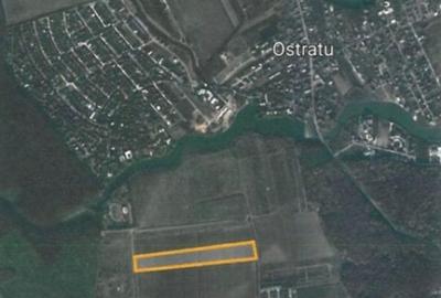Teren Ostratu-Tamasi // OPORTUNITATE INVESTITII Teren Ostratu-Tamasi // OPORTUNITATE INVESTITII - 2