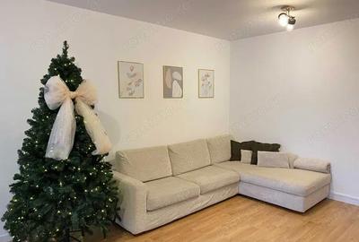 Apartament cu 2 camere decomandat, mobilat în Torontalului - 8