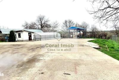 Spațiu comercial, de 10 mp, în Mihai Bravu - 4