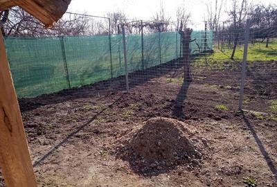 Casă cu 3 camere cu Teren 1350 Mp în Nădab - 1