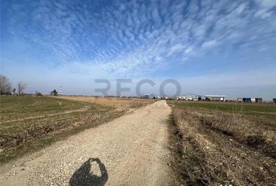 Teren de 5985 mp, în Nojorid - 12