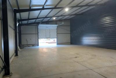 Spațiu comercial, de 400 mp, în Breasta - 1