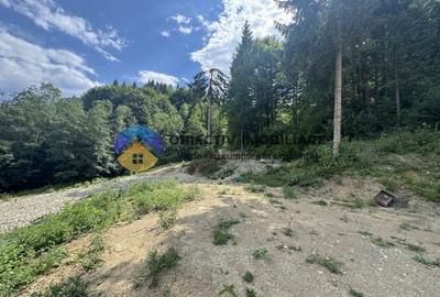 Teren cu o locatie de vis in Pangarati 53 m deschidere la strada - 15
