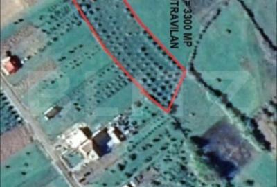 Teren de 3300 mp, în Central - 5