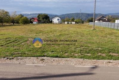 Teren de vanzare 1800 mp Dumbrava Ro?ie - 19